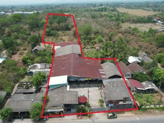 For sale land in Doi Lo, Chiang Mai