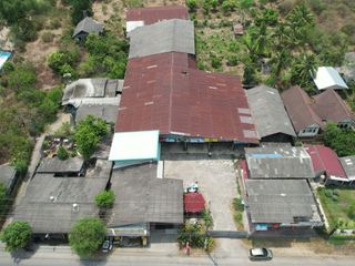 For sale land in Doi Lo, Chiang Mai