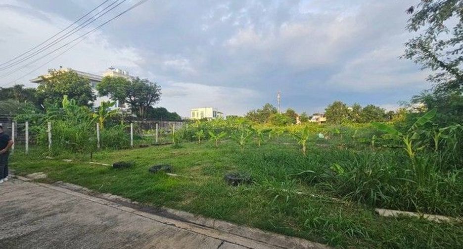 For sale land in Nong Khaem, Bangkok
