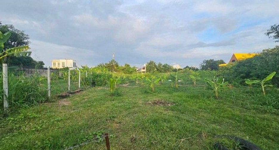 For sale land in Nong Khaem, Bangkok
