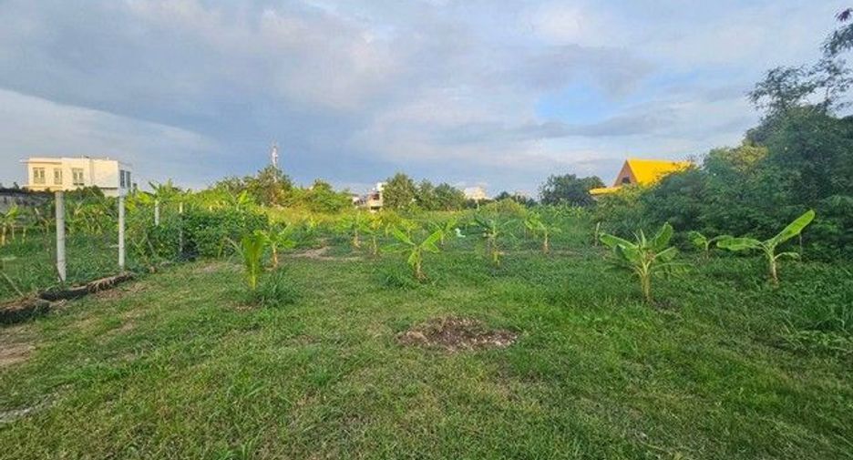 For sale land in Nong Khaem, Bangkok