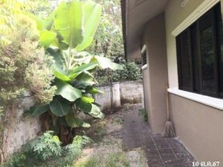 出售 1 卧室 独立屋 在 Chae Hom, Lampang