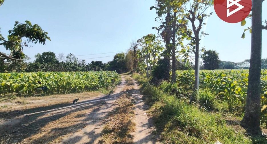 ขาย ที่ดิน ใน สันกำแพง, เชียงใหม่
