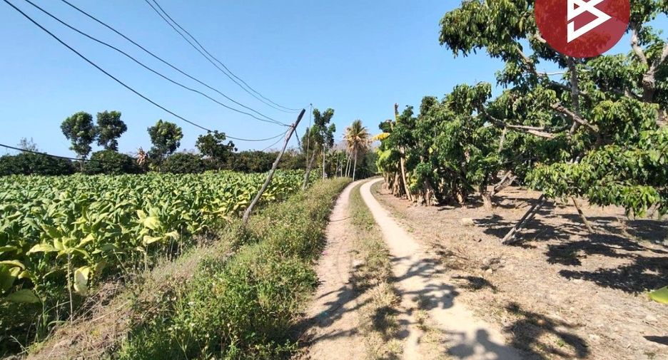 ขาย ที่ดิน ใน สันกำแพง, เชียงใหม่