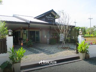 For sale land in San Sai, Chiang Mai