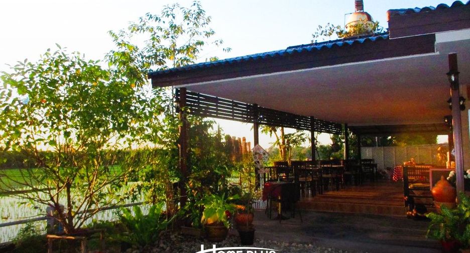 For sale land in San Sai, Chiang Mai