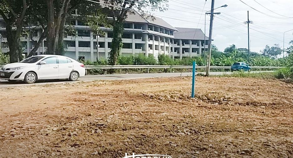 For sale land in San Sai, Chiang Mai