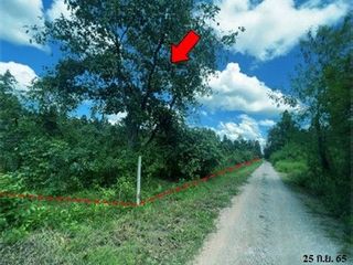 出售 土地 在 Chae Hom, Lampang