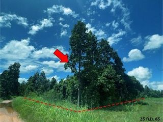 出售 土地 在 Chae Hom, Lampang