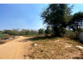 出售 土地 在 Chae Hom, Lampang
