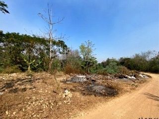 出售 土地 在 Chae Hom, Lampang