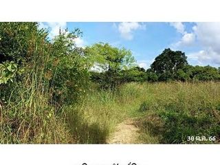 出售 土地 在 Chae Hom, Lampang