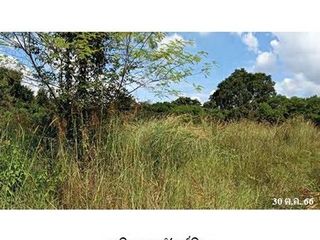 出售 土地 在 Chae Hom, Lampang