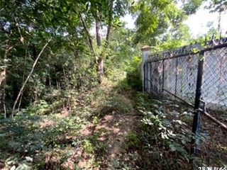 出售 土地 在 Chae Hom, Lampang
