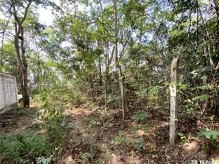 出售 土地 在 Chae Hom, Lampang