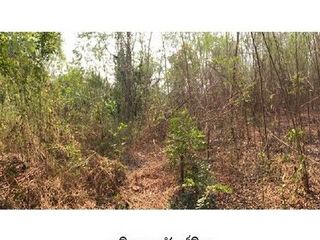 出售 土地 在 Chae Hom, Lampang