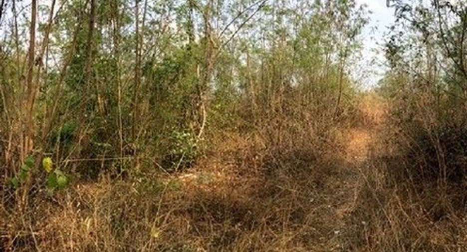 Terreno en venta en Chae Hom, Lampang