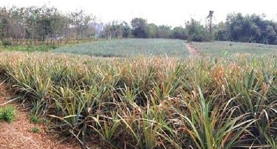 ขาย ที่ดิน ใน แจ้ห่ม, ลำปาง