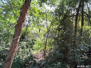 出售 土地 在 Chae Hom, Lampang