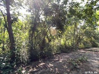 出售 土地 在 Chae Hom, Lampang