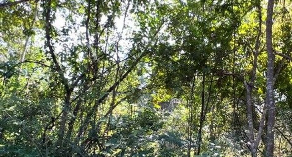 For sale land in Chae Hom, Lampang
