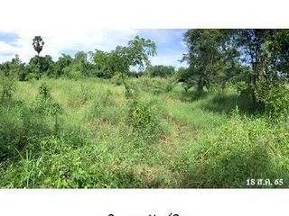 出售 土地 在 Sawankhalok, Sukhothai