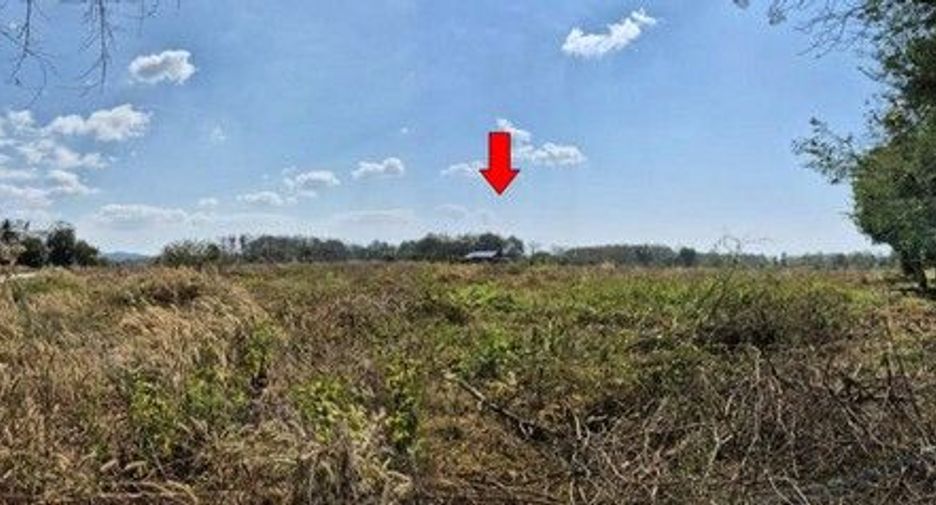 For sale land in Nong Muang Khai, Phrae