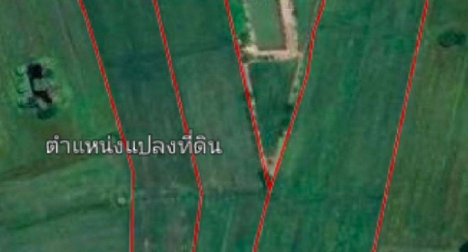 For sale land in Mueang Yang, Nakhon Ratchasima