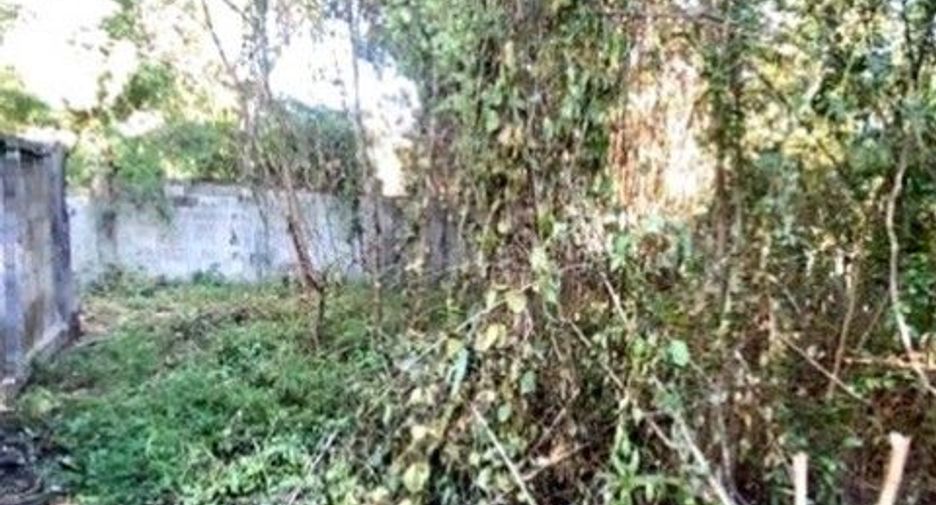 For sale land in Mueang Phayao, Phayao