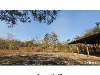出售 土地 在 Mueang Tak, Tak