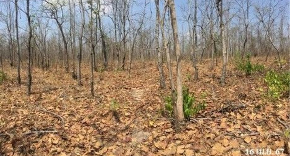 À vendre terrain à Mueang Tak, Tak