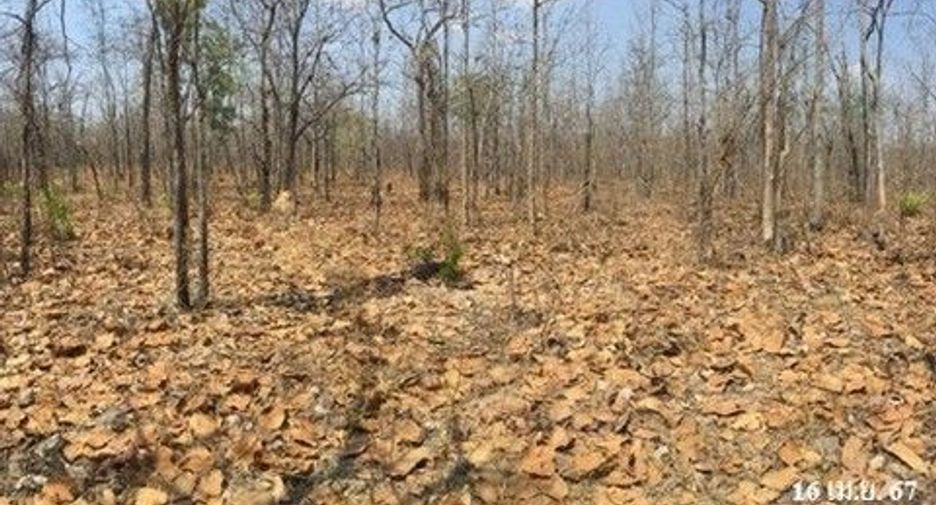 À vendre terrain à Mueang Tak, Tak