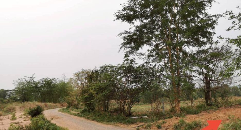 出售 土地 在 Sikhio, Nakhon Ratchasima