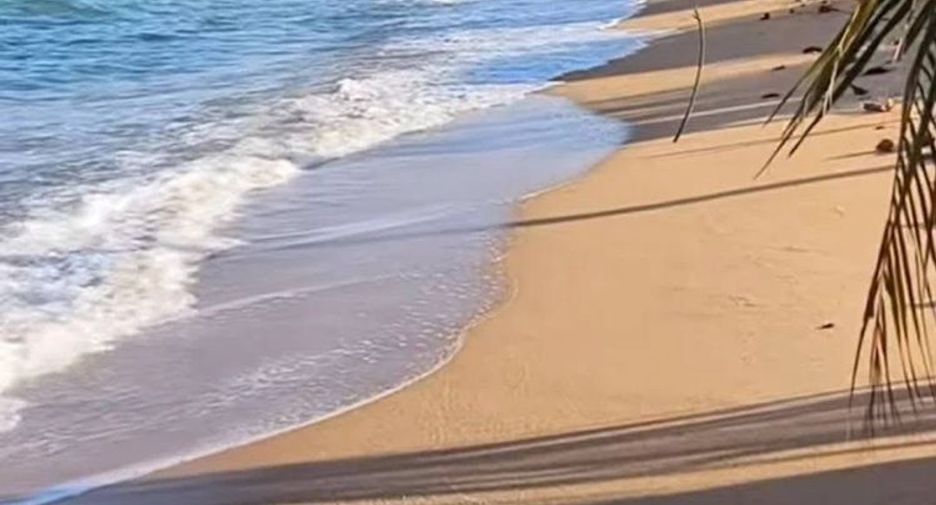 For sale land in Sattahip, Chonburi