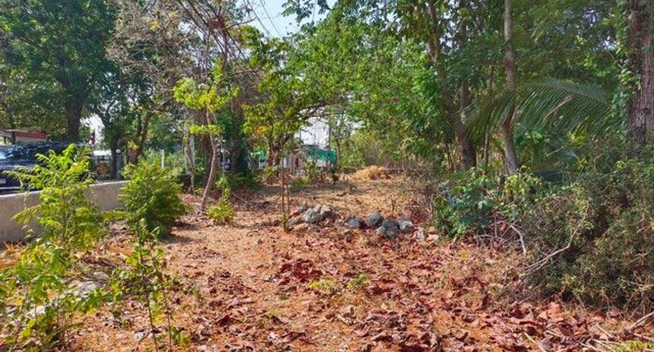 出售 土地 在 Pak Kret, Nonthaburi