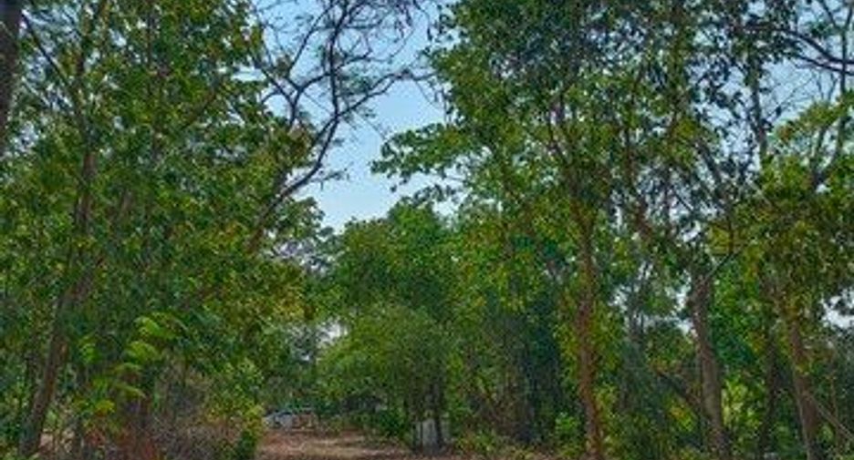 出售 土地 在 Pak Kret, Nonthaburi