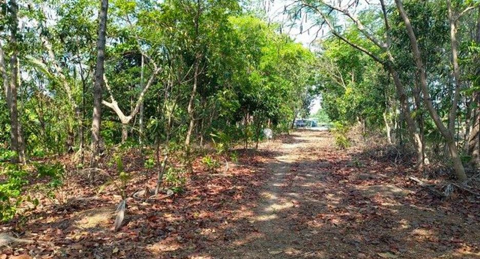 出售 土地 在 Pak Kret, Nonthaburi