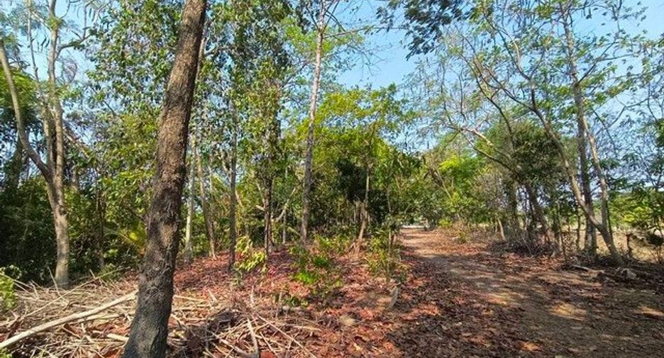 出售 土地 在 Pak Kret, Nonthaburi