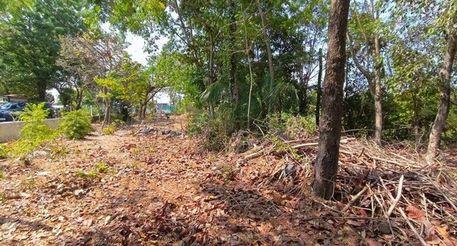 出售 土地 在 Pak Kret, Nonthaburi
