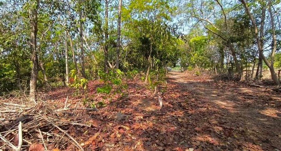 出售 土地 在 Pak Kret, Nonthaburi