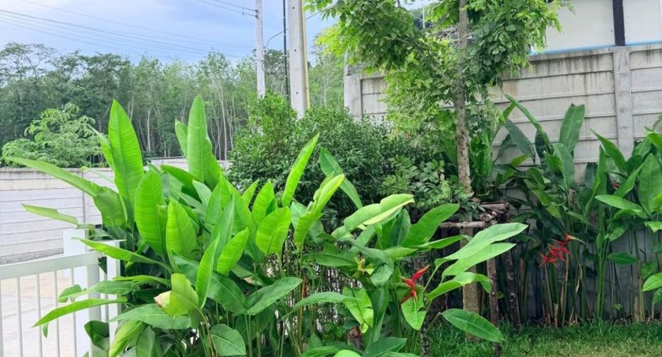 出租 3 卧室 别墅 在 塔朗, 普吉