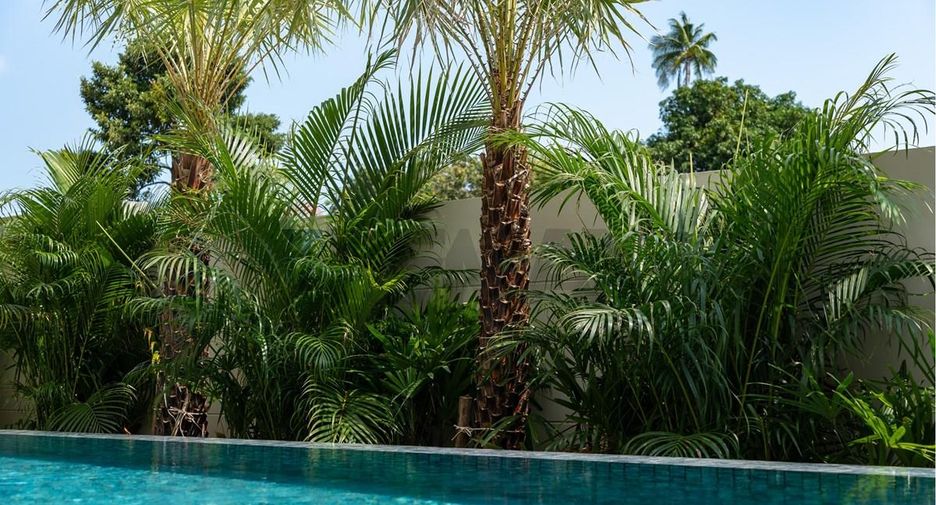 For sale 3 bedrooms villa in Ko Samui, Surat Thani