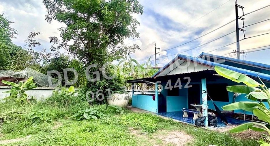 For sale land in Nong Bua Rawe, Chaiyaphum