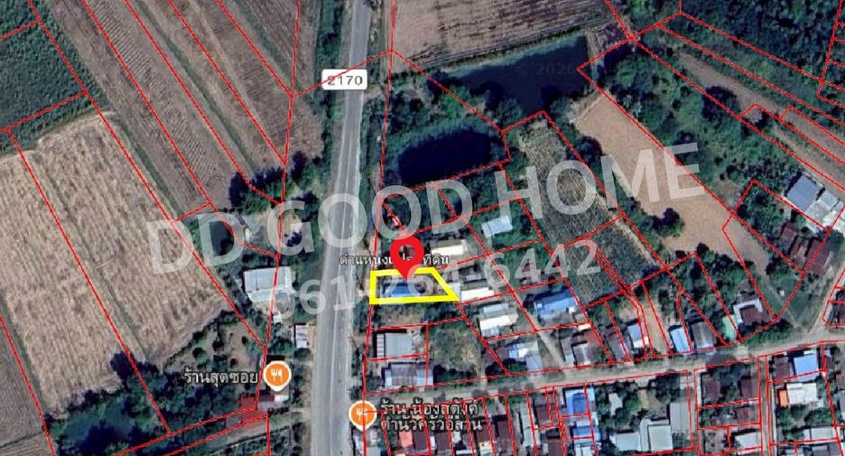 For sale land in Nong Bua Rawe, Chaiyaphum