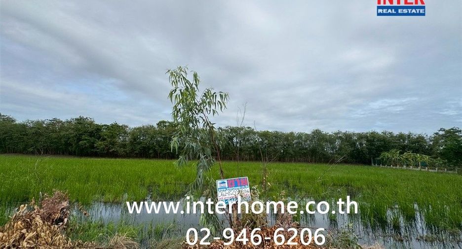 For sale land in Phutthamonthon, Nakhon Pathom