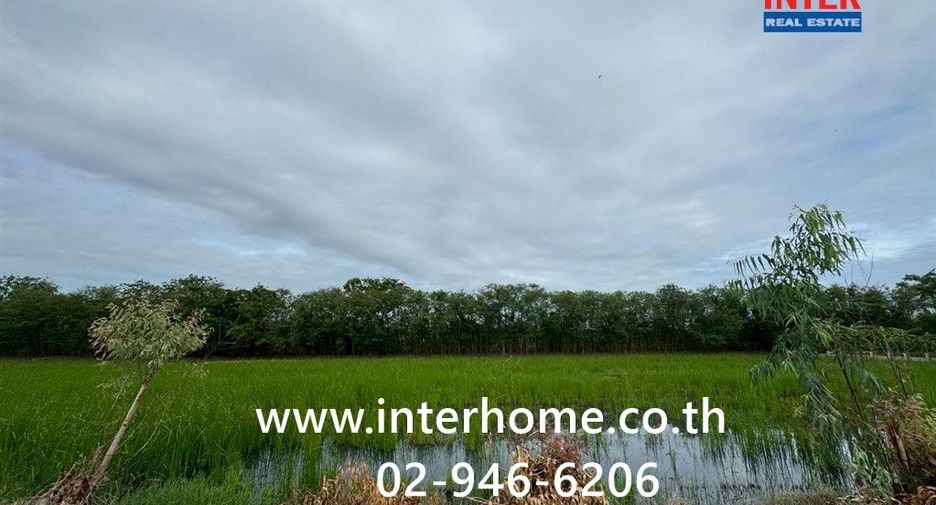 For sale land in Phutthamonthon, Nakhon Pathom