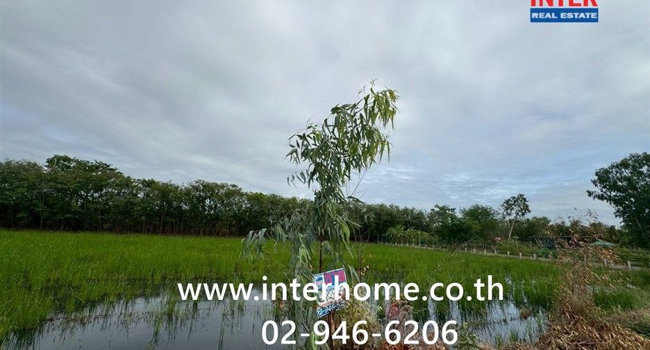 For sale land in Phutthamonthon, Nakhon Pathom