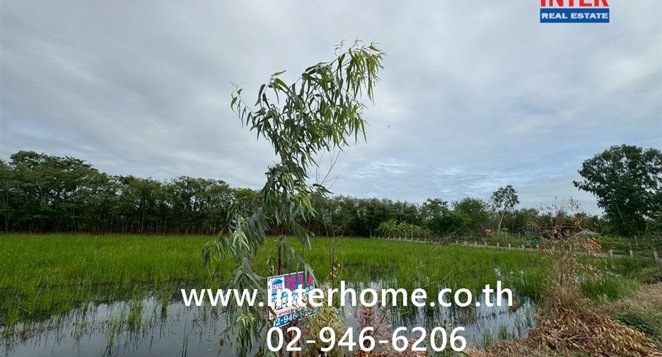 For sale land in Phutthamonthon, Nakhon Pathom