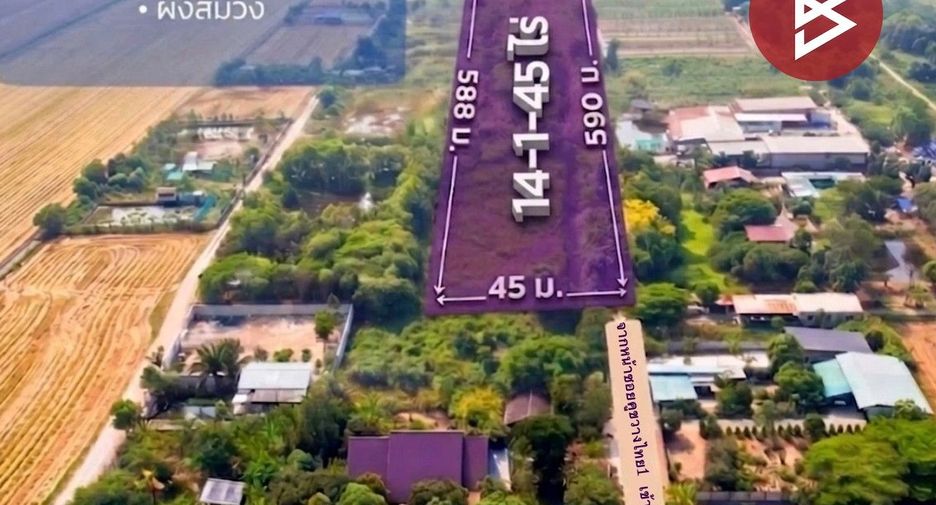 Аренда и продажа Участок в Lat Lum Kaeo, Патумтани