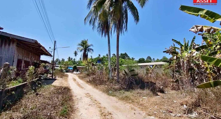 Grundstück zum Kauf in Sichon, Nakhon Si Thammarat